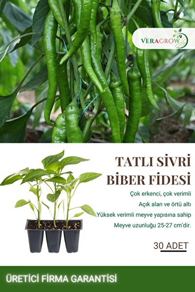 VERAGROW Biolife Fide Tatlı Sivri Biber Fidesi 30 Adet Kaliteli Fide