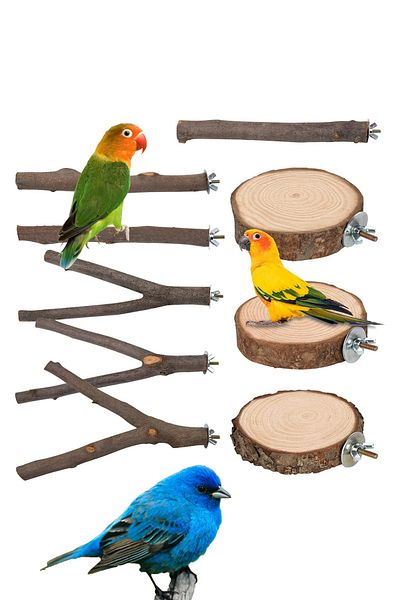 Alyones Bird Perches Stand Toy , Natural Wooden Parrot Perch Stand Bird Cage Branches