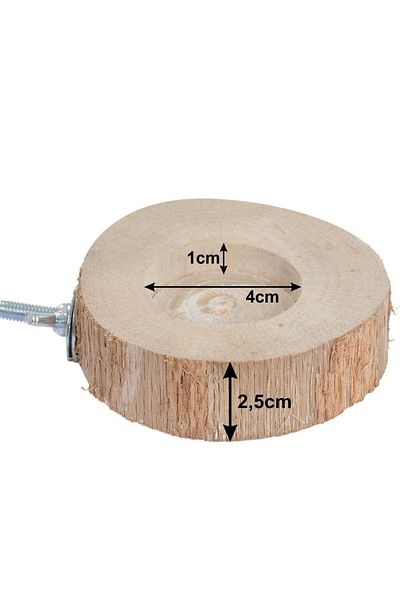 Alyones Natural Wood Bird Perch and Feeder