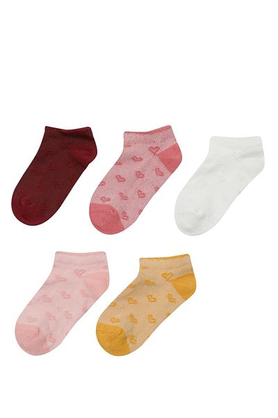 Polaris Mini Heart 5-Piece Ptk-g 3fx Multi-Colored Girl's 5-Piece Booties Socks