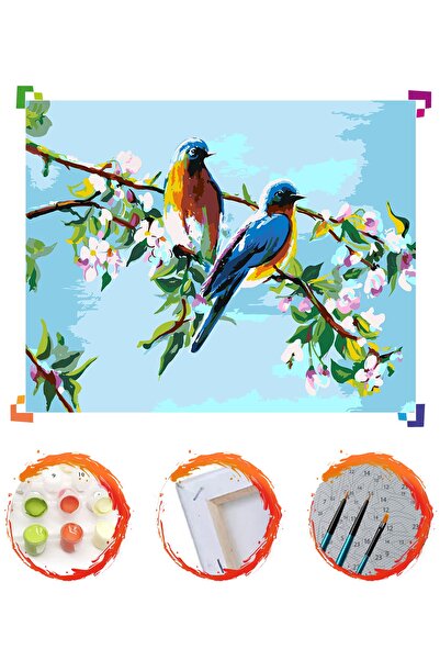 PlusHobby Sayılarla Boyama Seti Sb08 40x50cm Tuval