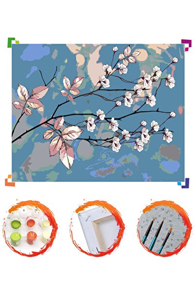 PlusHobby Sb35/badem Çiçekleri-sayılarla Boyama Seti 40x50cm Tuval