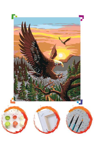 PlusHobby Kartal Sayılarla Boyama Seti 40x50 Cm Tuval