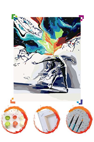 PlusHobby Sb44/dans - Sayılarla Boyama Se 40x50cm Tuval