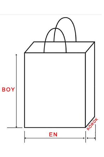 BossPack White Kraft Paper Bag (32X12X41 cm) Paper Bag with Twisted Handle (25 Pieces) Paper Bag