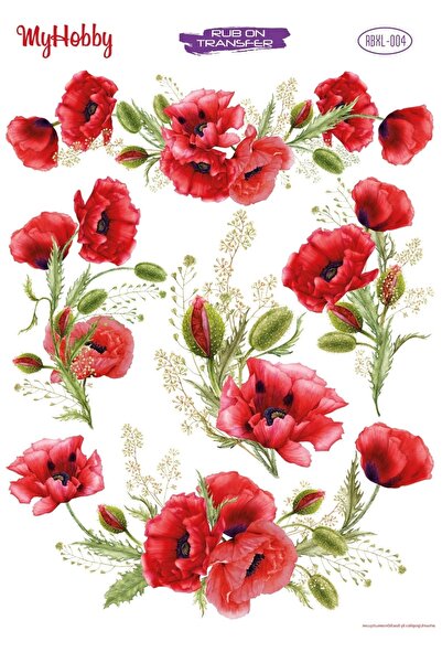 MyHobby Rub On Transfer Kağıdı Rbxl-004 35x50 Cm