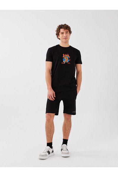 LC Waikiki Ανδρικό σορτς Standard Fit