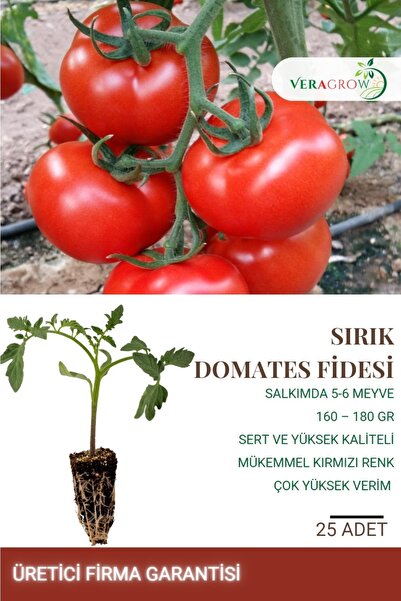 VERAGROW Biolife Fide Hobi Salkım Sırık Yerli Domates Fidesi 25 Adet Kaliteli...