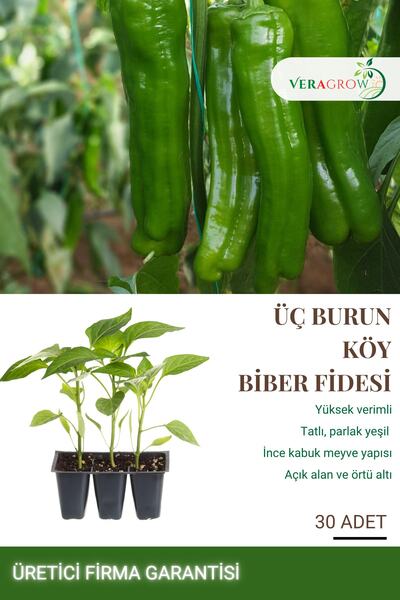 VERAGROW Biolife Fide Tatlı Üç Burun Köy Biberi Fidesi 30 Adet Kaliteli Fide