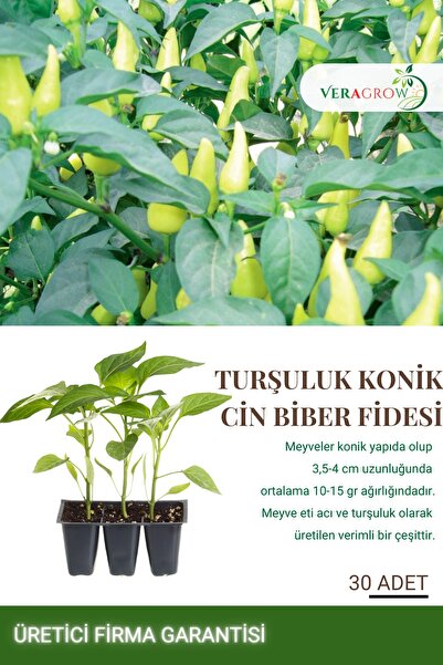 VERAGROW Biolife Fide Turşuluk Biberiye Konik Cin Biber Fidesi 30 Adet Kalite...