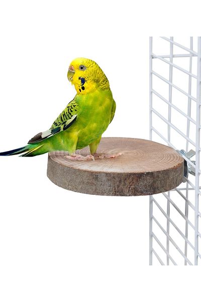 Alyones Natural Wood Bird Perch Round