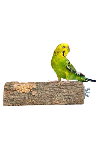 Alyones Natural Wood Bird Perch And Feeder Log Perch Length 15 Cm