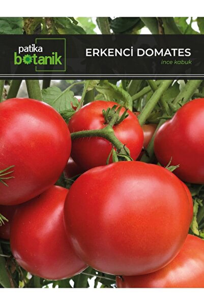 Genel Markalar Life 200 Adet Erkenci Domates Tohumu (oturak)