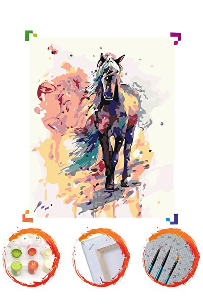 PlusHobby Sb24/renkli At - Sayılarla Boyama Seti 40x50cm Tuval