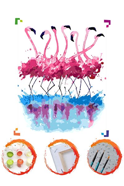 PlusHobby Sb33/flamingo-sayılarla Boyama Seti 40x50cm Tuval