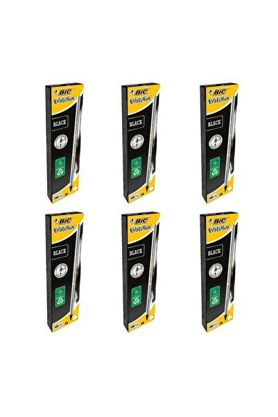 Bic Evolution Black Hb Kurşun Kalem 12'li 6 Kutu