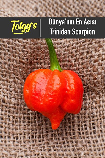 Genel Markalar Dünyanın En Acısı Trinidad Scorpion Biber Tohumu / 20+ Adet Tohum