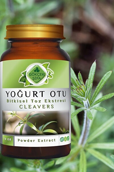 Gökçek Şifa Yoğurt Otu Toz Ekstresi 70 Gr Cam Kavanoz