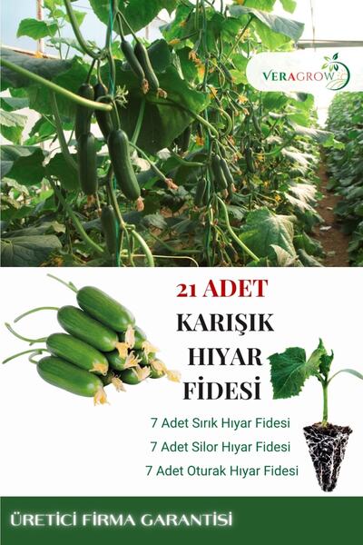 VERAGROW Biolife Fide Hobi Karışık Salatalık Hıyar Fidesi 21 Adet Kaliteli Fide