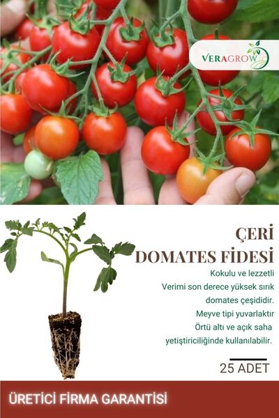 VERAGROW Biolife Fide Hobi Çeri Kokteyl Yerli Domates Fidesi 25 Adet Kaliteli...