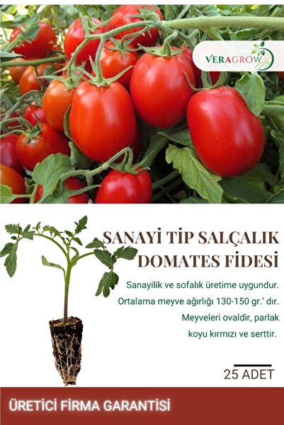 VERAGROW Biolife Fide Hobi Salçalık Yerli Domates Fidesi 25 Adet Kaliteli Fide