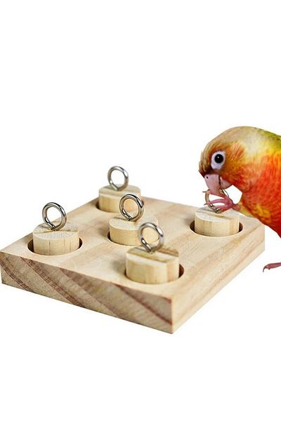 Alyones Bird Parrot Toys | Wooden Interactive Educational Block Puzzle