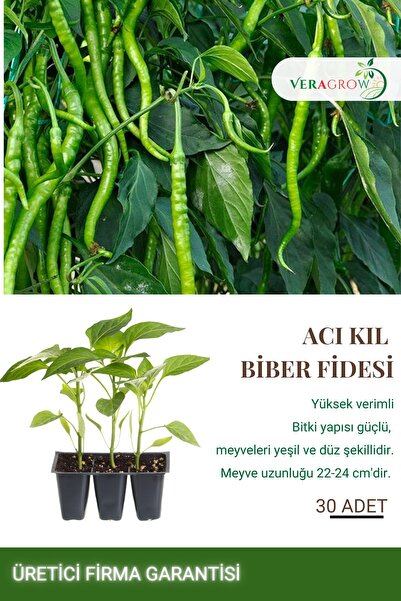 VERAGROW Biolife Fide Acı Kıl Biber Fidesi 30 Adet Kaliteli Fide