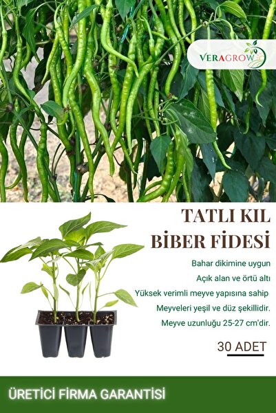 VERAGROW Biolife Fide Tatlı Kıl Biber Fidesi 30 Adet Kaliteli Fide