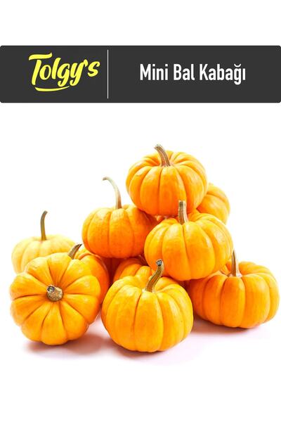 Tolgys Nadir Mini Bal Kabağı Tohumu / 5 Adet Tohum
