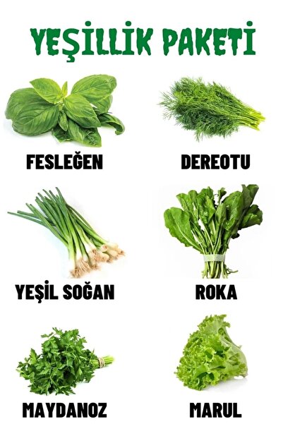 ÇERMİK FİDANCILIK Yeşillik Tohum Paketi Fesleğen, Dereotu, Soğan, Roka, Mayda...