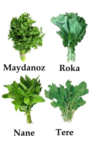 ÇERMİK FİDANCILIK Yeşillik Tohum Paketi Tere , Maydanoz, Nane, , Roka 40 Gr