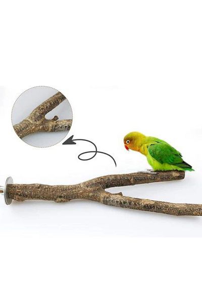 Alyones Pack of 3 Apple Wood Bird Perch Cage, Natural Wood Parrot Perch