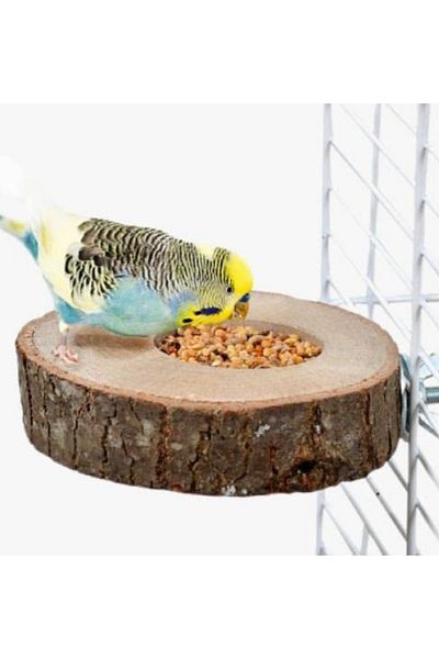 Alyones Fresh Natural Wood Bird Perch And Feeder