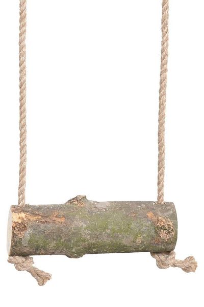Alyones الببغاء الطيور سوينغ جثم