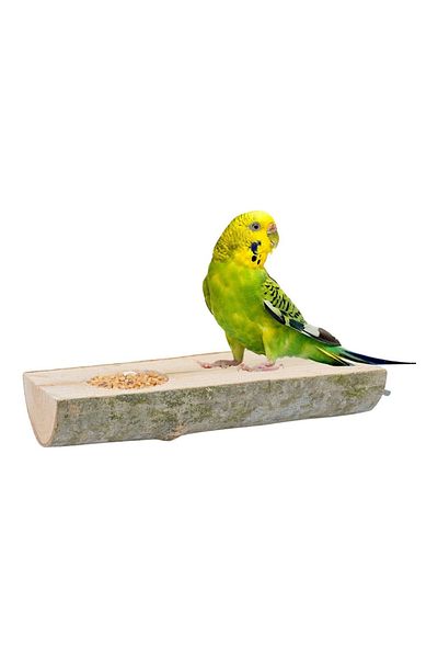 Alyones Natural Wood Bird Perch And Feeder Log Perch