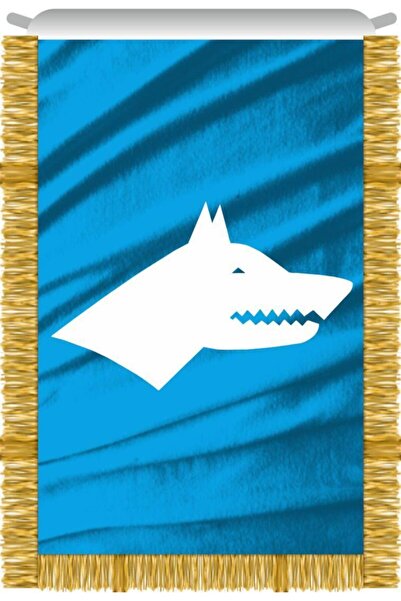 Rekbay Göktürk Bayrağı Sancağı Saçaklı 50x75cm