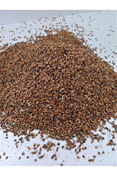 Ekodoğa Ateş Dikeni Tohumu 10 Gr ( 1000 Adet ) Ateş Dikeni Bitkisi Tohumu Pyracantha Coccinea Ağaç Tohumu