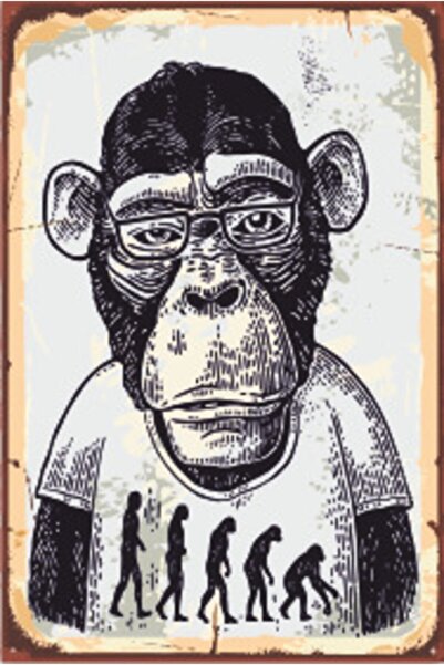 Hayat Poster Ρετρό ξύλινη αφίσα 20x30 εκ. Αντίστροφη εξέλιξη