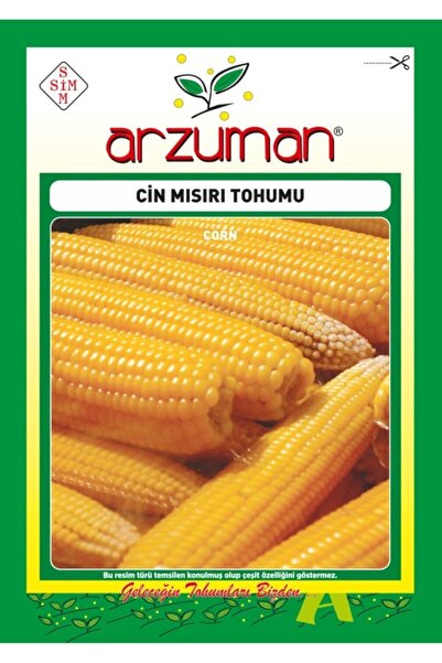 Arzuman Cin Mısır Tohumu (25 Gr) Patlatmalık Popcorn Mısır
