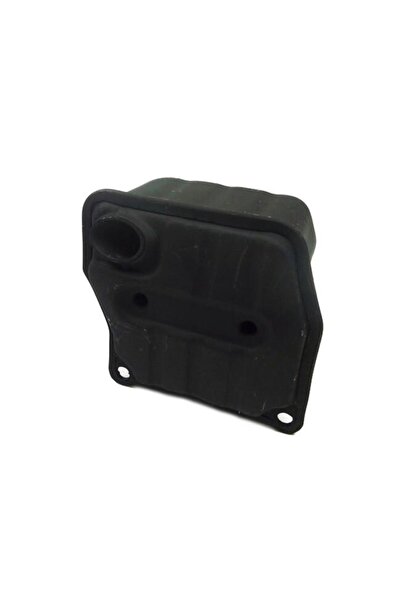 Oleomac Zomax 4610/4620/5010/5030/gsh51 Gsh 56 Egzoz