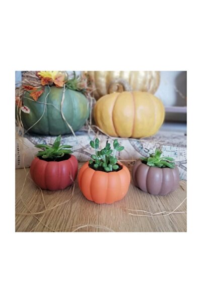 Genel Markalar 3'lü Balkabağı Sukulent Ve Kaktüs Beton Saksı Seti-çiçeksiz