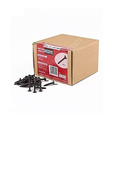 Knauf Alçıpan Vidası Matkap Uçlu 25 Mm 1000 Adet=1 Kutu