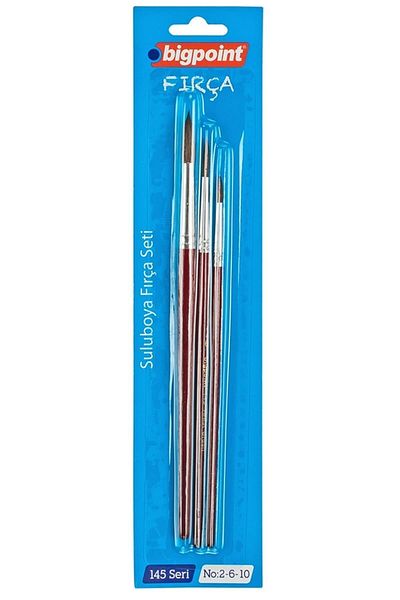 Bigpoint 145 Series Round Brush Set 2-6-10 3-Piece Blister