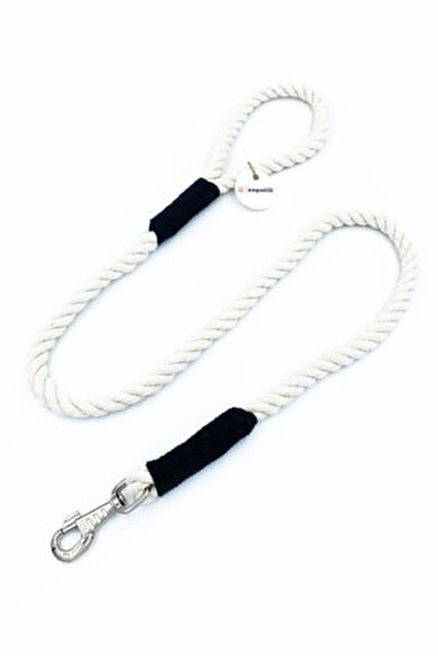 Enpatili Kopek Gezdirme Tasmasi Sevk Kayisi Siyah Fiyati Yorumlari Trendyol