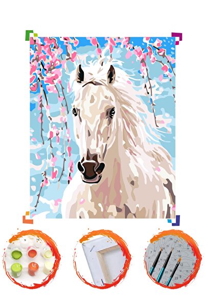 PlusHobby Sb17/renkli At - Sayılarla Boyama Seti 40x50cm Tuval