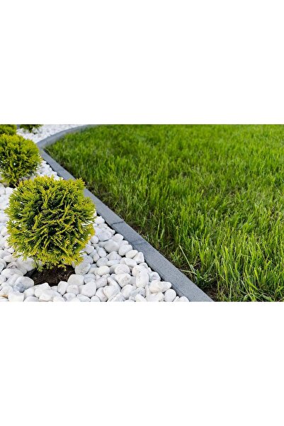 Asenya Beyaz Dolomit Taş 1 Kg 2-4 Cm Dere Çakıl Taşı Bahçe Süs Taşı Saksı Ter...