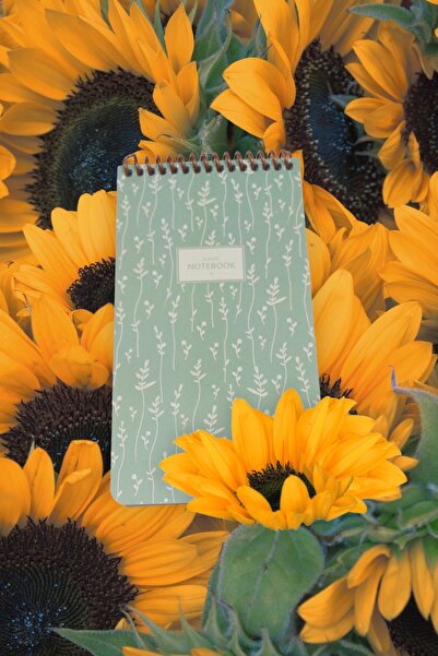 SEYFİKİRTASİYE 10x19 Cm 80 Yaprak Defter Çizgisiz Üstten Açılır Karton Kapak ...