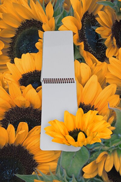 SEYFİKİRTASİYE دفتر ملاحظات بحجم 80 ورقة بحجم 10x19 سم، غطاء كرتوني قابل للفتح بدون خطوط، ورق أبيض بوزن 60 جرام.