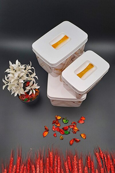 SWENCRAFT Luxury Storage Container Multipurpose Box 3-Piece Dowry Set Special for Mothers