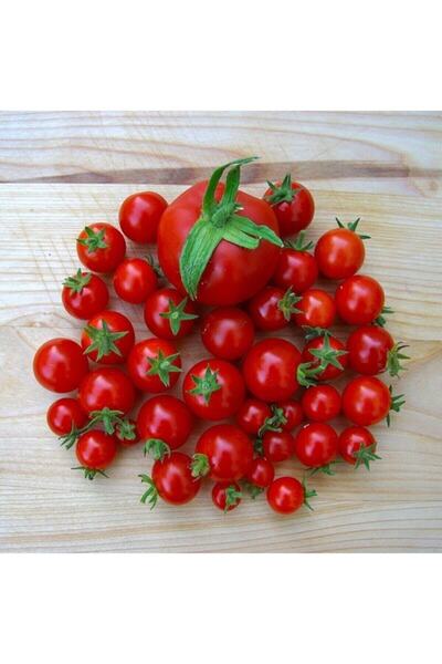 ÇERMİK FİDANCILIK Doğal Kahvaltılık Chery Domates Tohumu 5 Gr